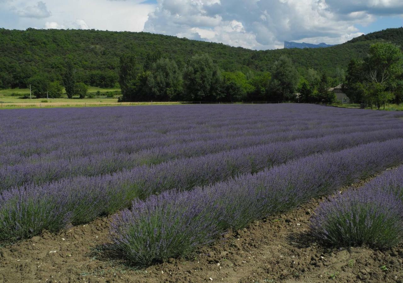 Touroulet Διαμέρισμα Suze Εξωτερικό φωτογραφία